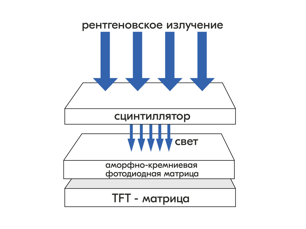 /7387/conversions/fa82fed3182e4d8c25c71eec10344937-big.jpg