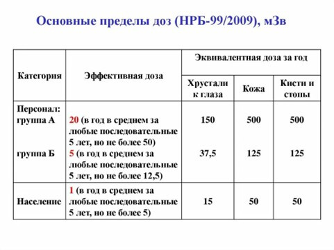 /8776/conversions/88d0e31f494e0ad6239527f0fde09f24-big.jpg