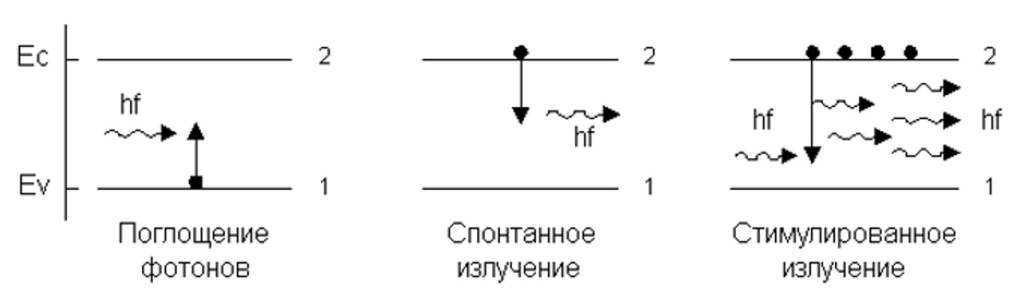/8792/conversions/1b8ea629e12c70c4c9c6cfa796325c29-big.jpg